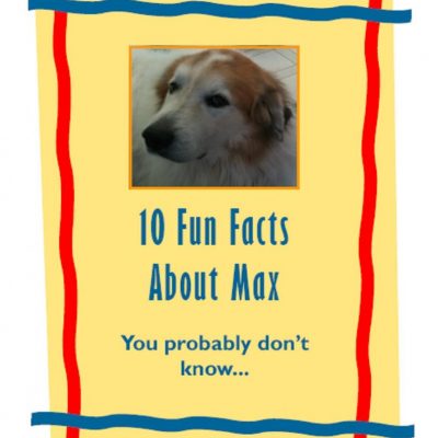 10 Facts About Max Cover